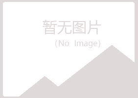 眉山字迹能源有限公司